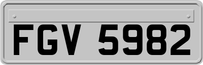 FGV5982