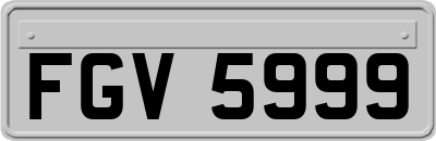 FGV5999