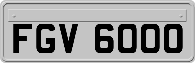 FGV6000