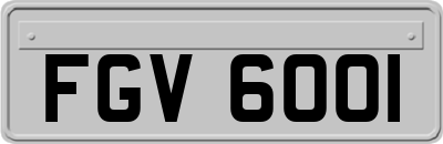 FGV6001