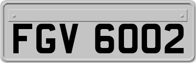 FGV6002