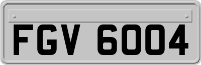 FGV6004