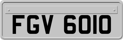 FGV6010