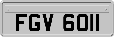 FGV6011