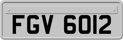 FGV6012