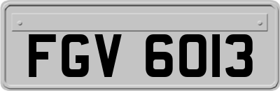 FGV6013