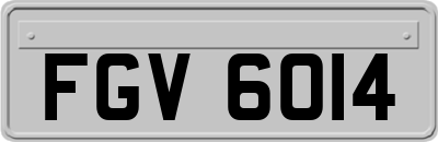FGV6014