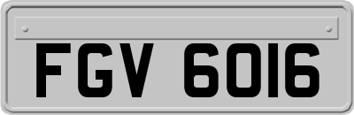 FGV6016