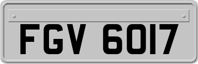 FGV6017