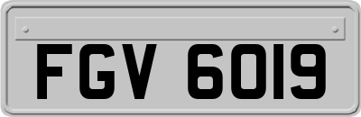FGV6019