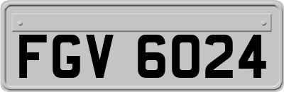 FGV6024