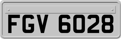 FGV6028