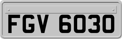 FGV6030