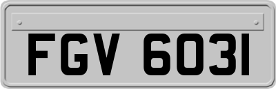 FGV6031