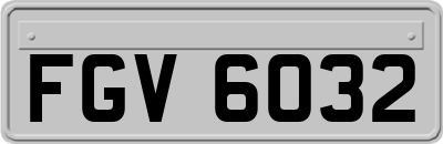 FGV6032