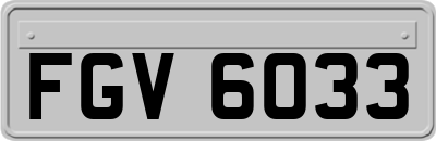 FGV6033