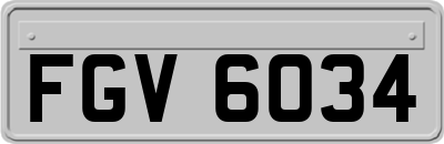 FGV6034