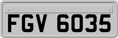 FGV6035
