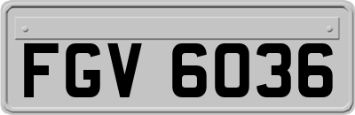 FGV6036
