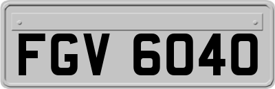 FGV6040