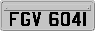FGV6041
