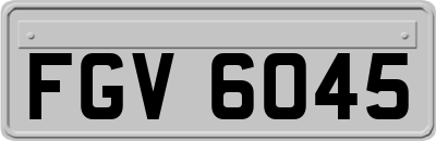 FGV6045