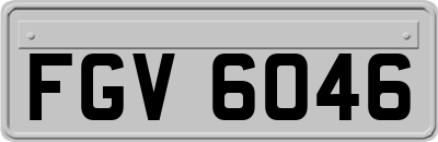 FGV6046