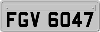 FGV6047