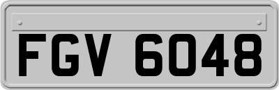 FGV6048