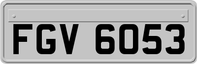 FGV6053