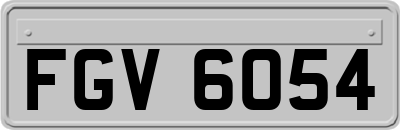 FGV6054