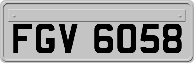 FGV6058
