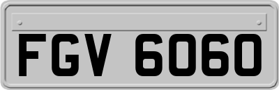 FGV6060