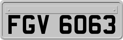 FGV6063