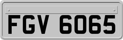 FGV6065