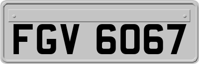 FGV6067