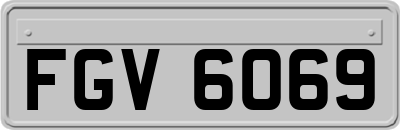 FGV6069