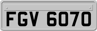 FGV6070