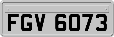 FGV6073