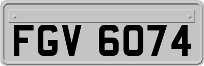 FGV6074