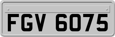FGV6075