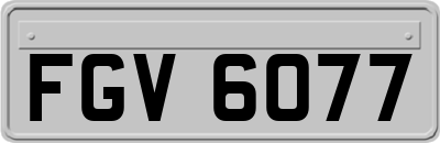 FGV6077