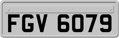FGV6079