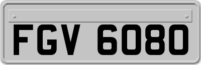 FGV6080