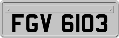 FGV6103