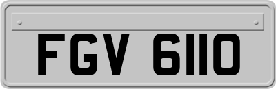 FGV6110