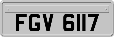 FGV6117