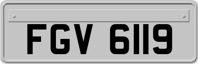 FGV6119