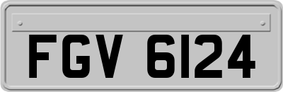 FGV6124