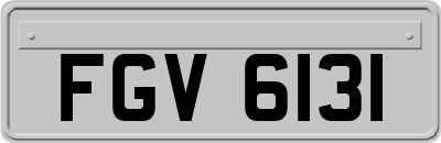 FGV6131